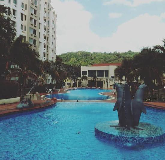 HILLVIEW HEIGHTS