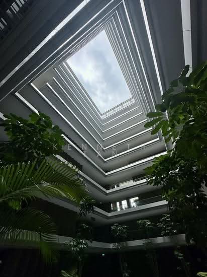 THE REEF AT KING'S DOCK photo 5
