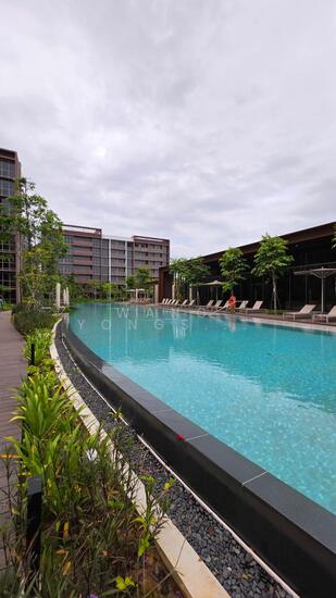 Pasir Ris 8 photo 3