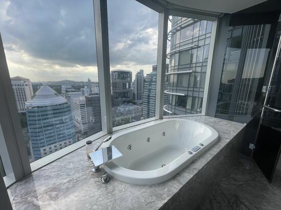 THE ORCHARD RESIDENCES photo 2