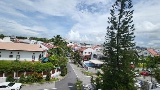D15 Siglap Locale! Huge Almost New Semi-Detached With Lift And Pool photo 4
