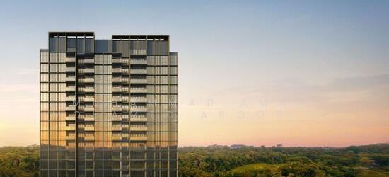 PINETREE HILL photo 5