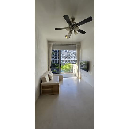 CASA CAMBIO photo 2