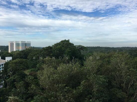 ECO SANCTUARY photo 2