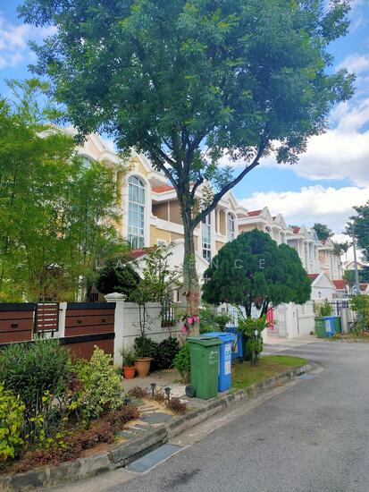 Ardisia Garden photo 6