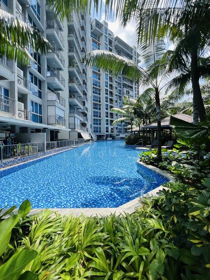 Q BAY RESIDENCES photo 2