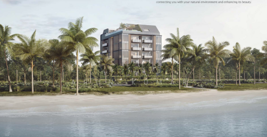 THE SHOREFRONT photo 4