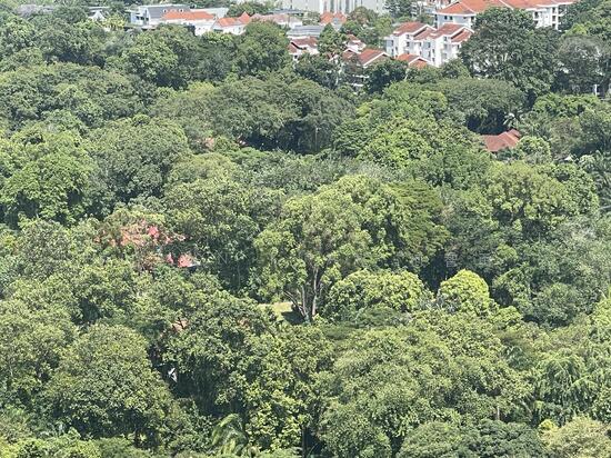 Queen Astrid Park photo 3
