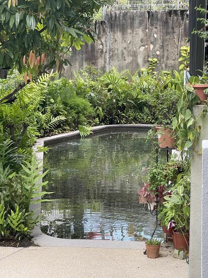 THE RAINFOREST photo 6