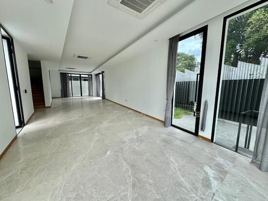 Freehold Newly Built Detached at Bukit Timah photo 3