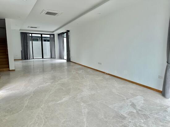 Freehold Newly Built Detached at Bukit Timah photo 5