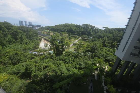 NORMANTON PARK photo 3