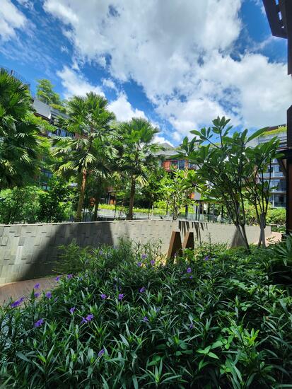 DAINTREE RESIDENCE photo 5