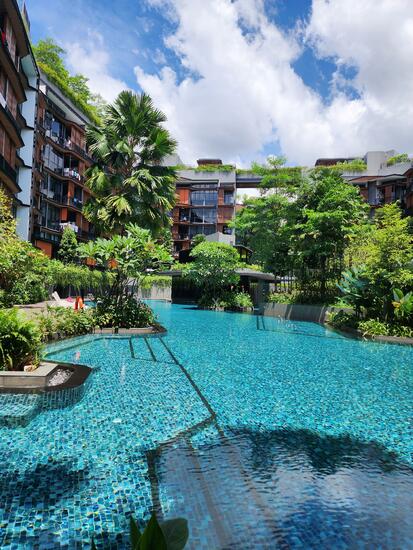 DAINTREE RESIDENCE photo 6