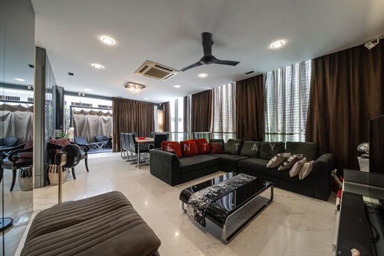 Semi D @ Mountbatten/Tg Katong Enclave photo 2
