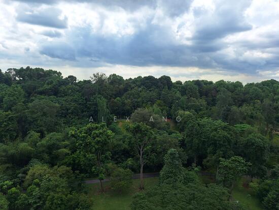 NORMANTON PARK photo 6