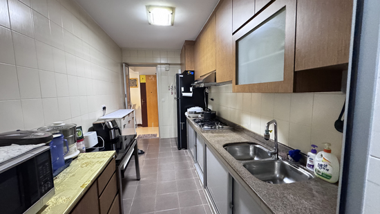 455 SEGAR ROAD photo 5