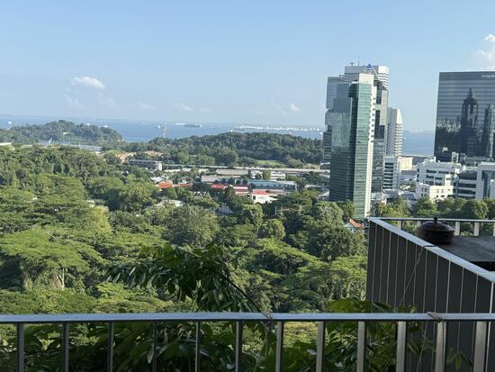 THE INTERLACE