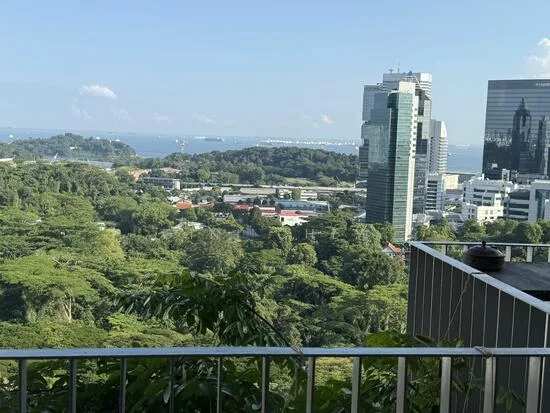 The Interlace image 1 of 4