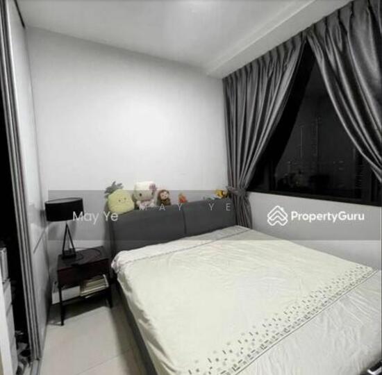 THE TRILINQ photo 6