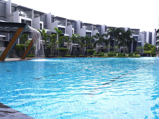 Skies Miltonia photo 2