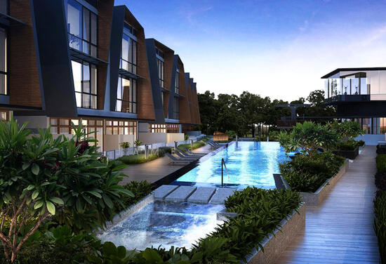 Belgravia Ace photo 2