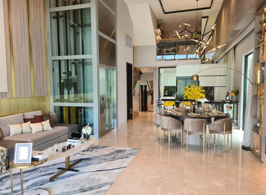 Belgravia Ace photo 4
