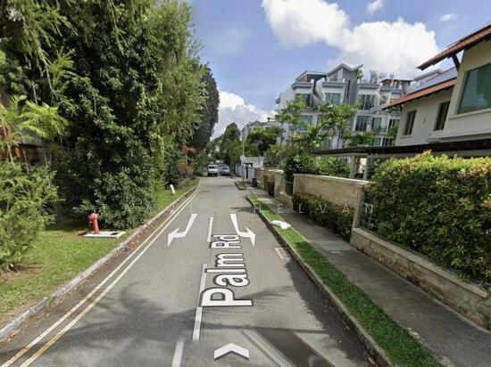 Palm Road photo 2