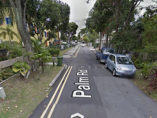 Palm Road photo 4