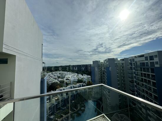 SKIES MILTONIA photo 5