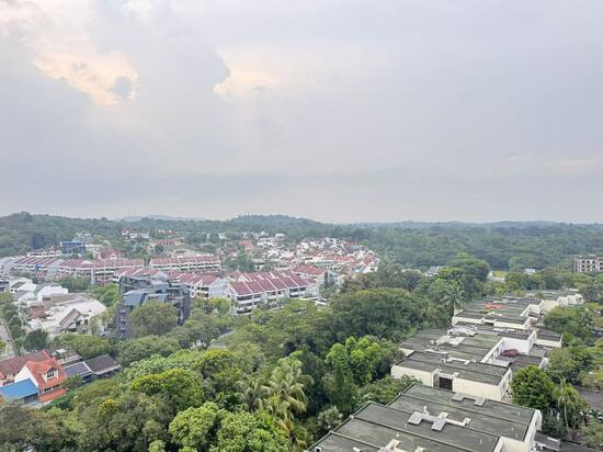 THOMSON VIEW CONDOMINIUM photo 3