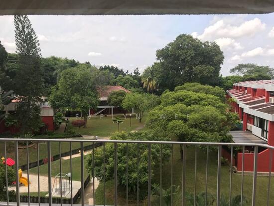 MIMOSA PARK photo 6