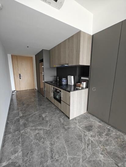 ONE HOLLAND VILLAGE RESIDENCES photo 5