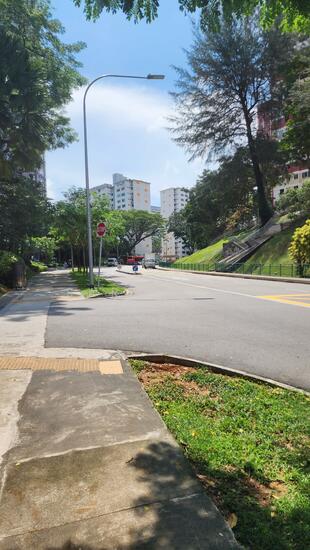 171 Stirling Road photo 3