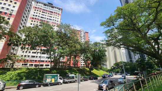 171 Stirling Road photo 5