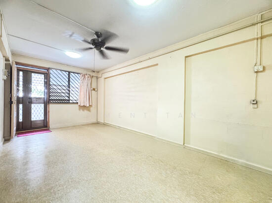 169 STIRLING ROAD photo 2