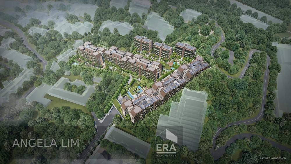 TERRA HILL photo 3