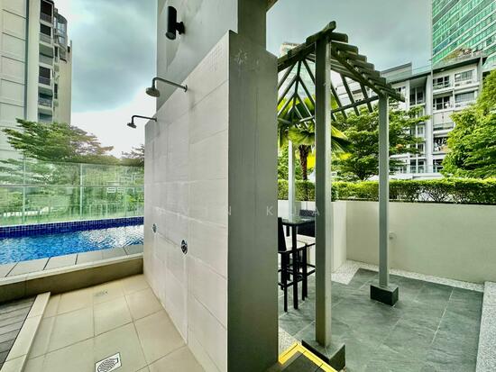 LAUREL TREE photo 5