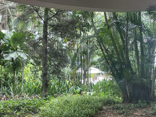 REGENCY PARK photo 2