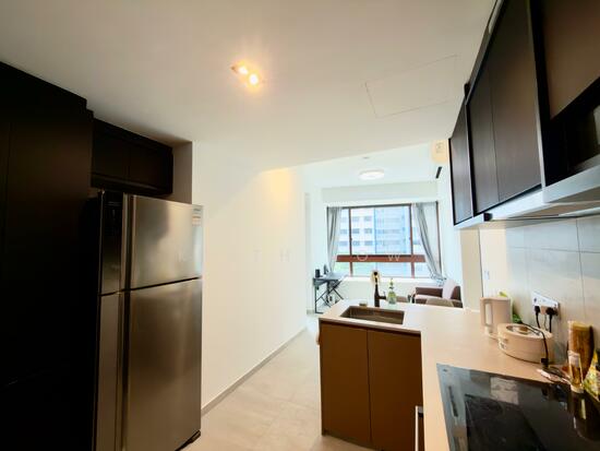 NOMA photo 3
