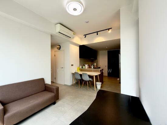 NOMA photo 4