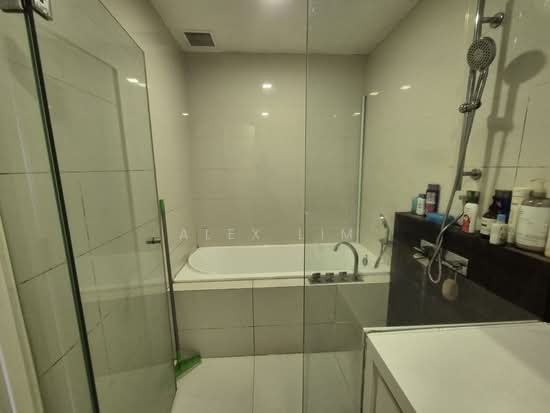 THE INTERLACE photo 5