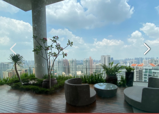 SKYPARK photo 5