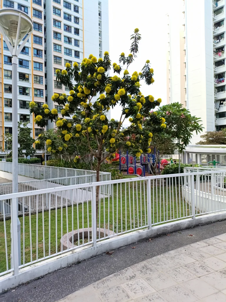 Blk 266B PUNGGOL WAY image 1 of 2