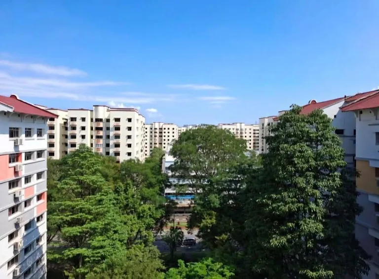 Blk 613 CHOA CHU KANG ST 62 image 1 of 9