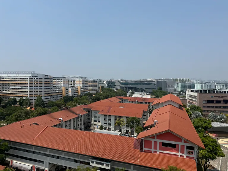 Blk 257 SERANGOON CTRL DR image 1 of 8