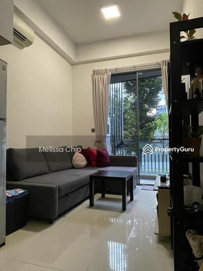 Cassia Edge image 1 of 8