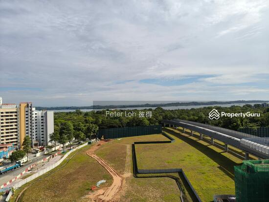 Pasir Ris 8 photo 5