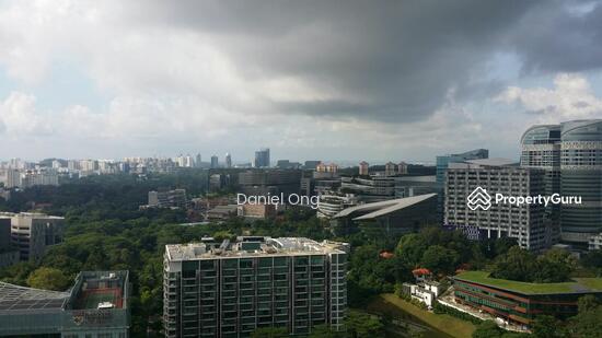 The Rochester Residences photo 2