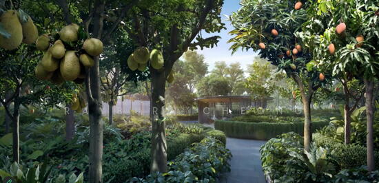 Chuan Park photo 2